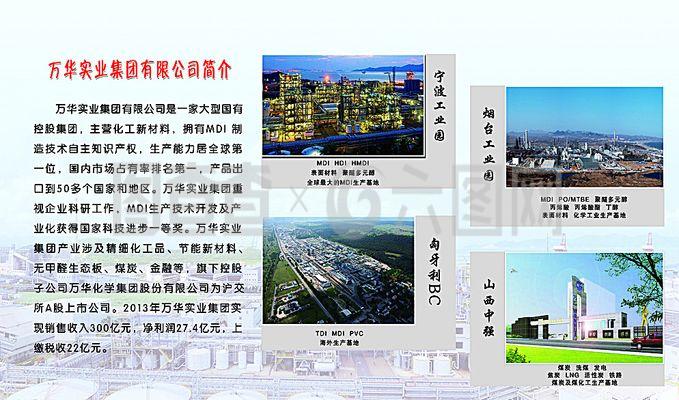 萬華實業集團 以創新驅動發展的全球化實業公司典范