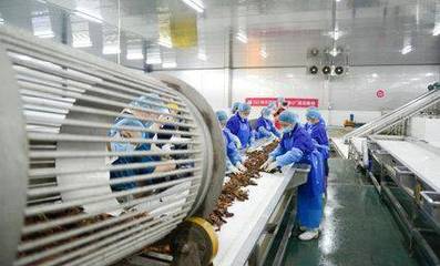 科技賦能鮮味體驗(yàn) 每日優(yōu)鮮小龍蝦節(jié)開啟，超聲技術(shù)驅(qū)動(dòng)生鮮開發(fā)新篇章